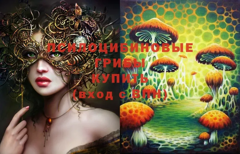 Галлюциногенные грибы Psilocybine cubensis Касимов