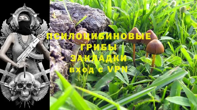 Галлюциногенные грибы MAGIC MUSHROOMS  Касимов 